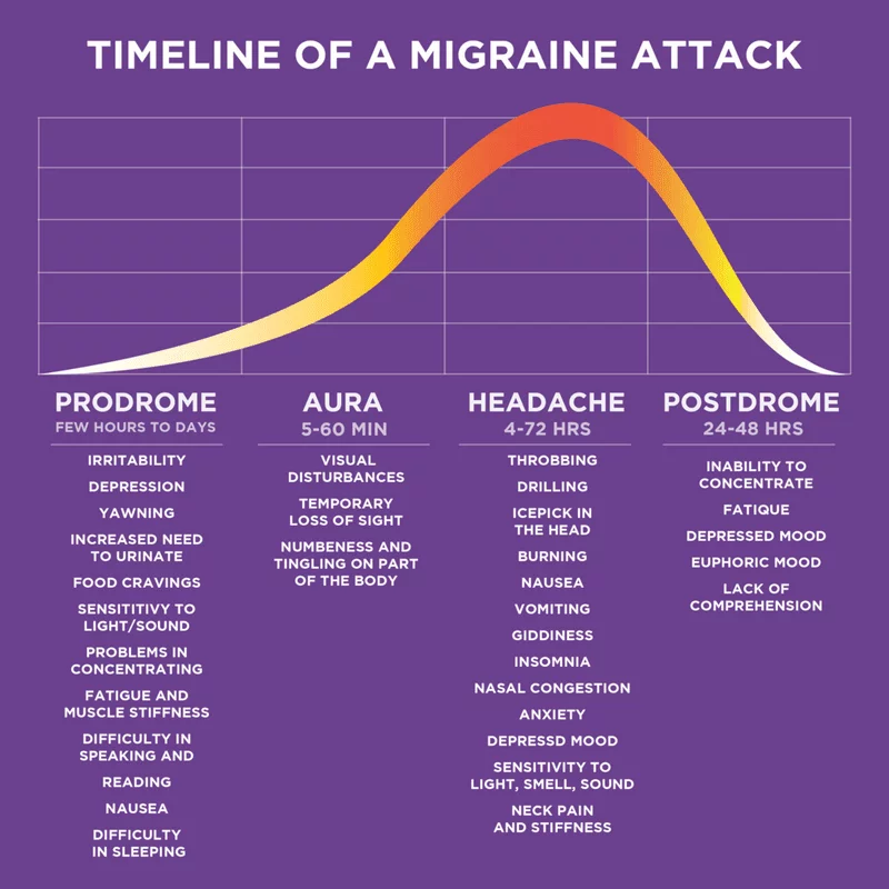 Timeline of a Migraine Attack