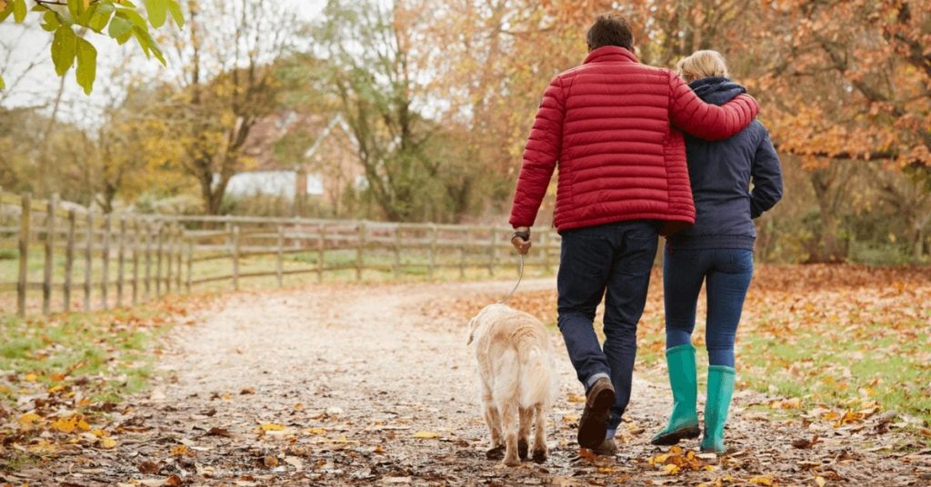 Couple walking with dog